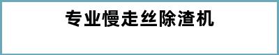 专业慢走丝除渣机