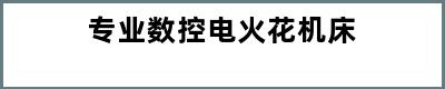 专业数控电火花机床