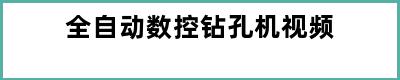 全自动数控钻孔机视频