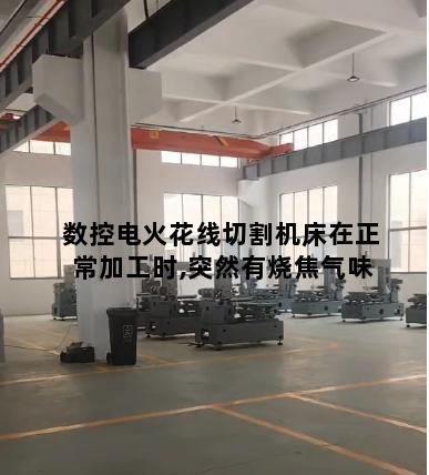 数控电火花线切割机床在正常加工时,突然有烧焦气味