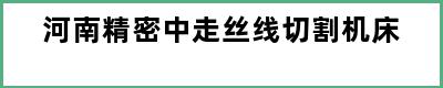 河南精密中走丝线切割机床