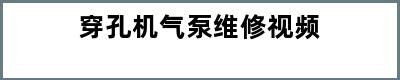 穿孔机气泵维修视频