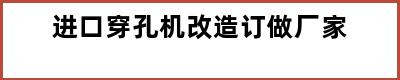 进口穿孔机改造订做厂家